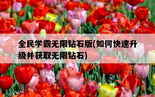 全民學霸無限鉆石版，如何快速升級并獲取無限鉆石-圖1