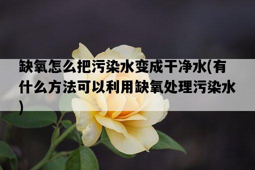 缺氧怎么把污染水變成干凈水，有什么方法可以利用缺氧處理污染水-圖1