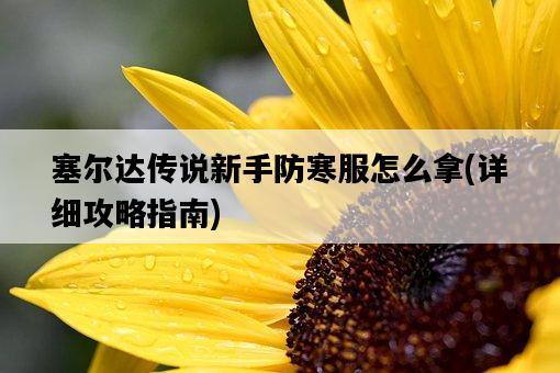 塞爾達傳說新手防寒服怎么拿，詳細攻略指南-圖1