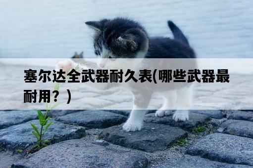 塞爾達全武器耐久表，哪些武器最耐用？-圖1