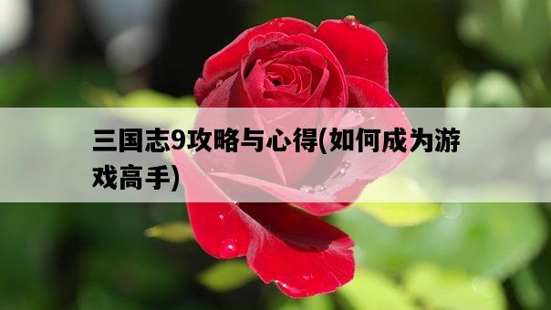 三國志9攻略與心得，如何成為游戲高手-圖1