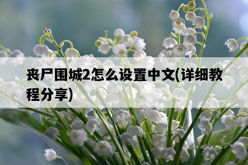 喪尸圍城2怎么設置中文，詳細教程分享-圖1