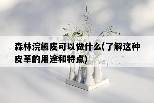 森林浣熊皮可以做什么，了解這種皮革的用途和特點-圖1