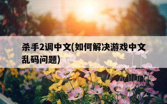 殺手2調中文，如何解決游戲中文亂碼問題-圖1