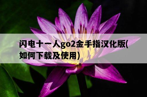 閃電十一人go2金手指漢化版，如何下載及使用-圖1