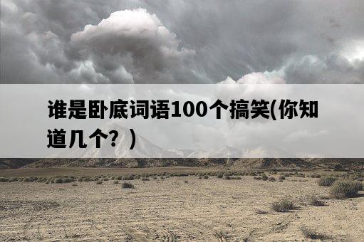 誰是臥底詞語100個搞笑，你知道幾個？-圖1
