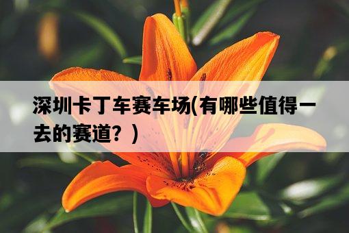 深圳卡丁車賽車場,有哪些值得一去的賽道?-圖1 深圳卡丁車賽車場,有哪些值得一去的賽道?-圖1