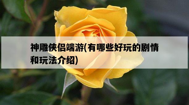 神雕俠侶端游，有哪些好玩的劇情和玩法介紹-圖1