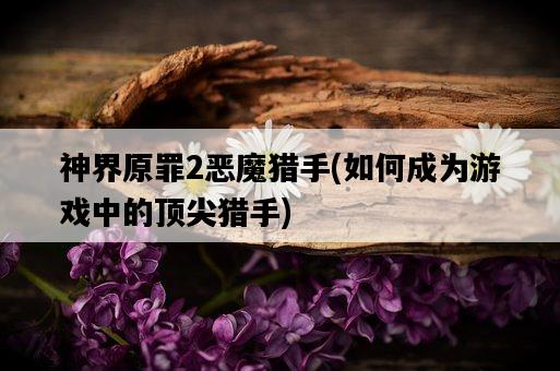 神界原罪2惡魔獵手，如何成為游戲中的頂尖獵手-圖1