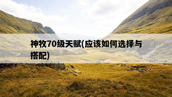 神牧70級天賦，應該如何選擇與搭配-圖1