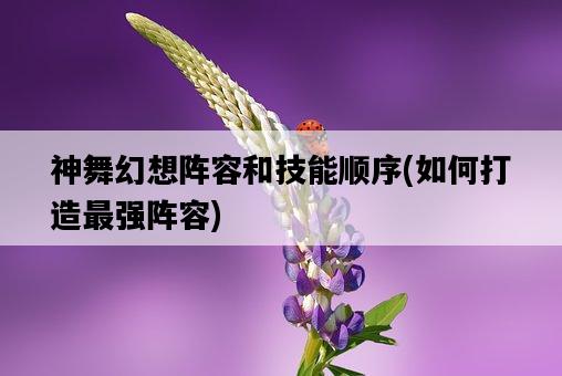 神舞幻想陣容和技能順序,如何打造最強陣容-圖1 神舞幻想陣容和技能順序,如何打造最強陣容-圖1