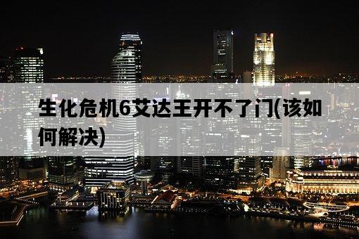生化危機6艾達王開不了門，該如何解決-圖1