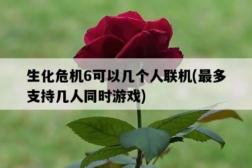 生化危機6可以幾個人聯機，最多支持幾人同時游戲-圖1