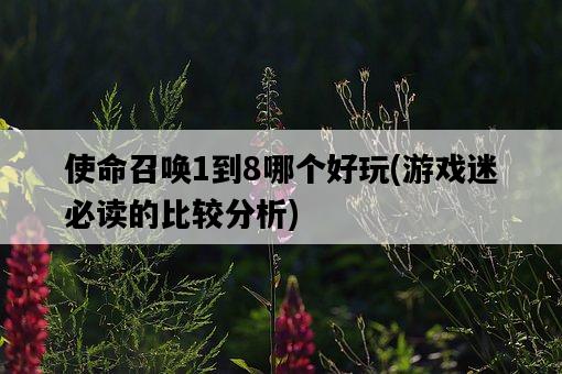 使命召喚1到8哪個好玩，游戲迷必讀的比較分析-圖1