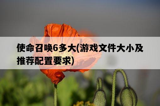 使命召喚6多大，游戲文件大小及推薦配置要求-圖1