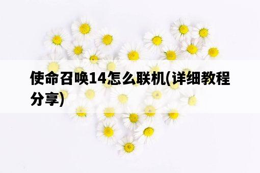 使命召喚14怎么聯機，詳細教程分享-圖1