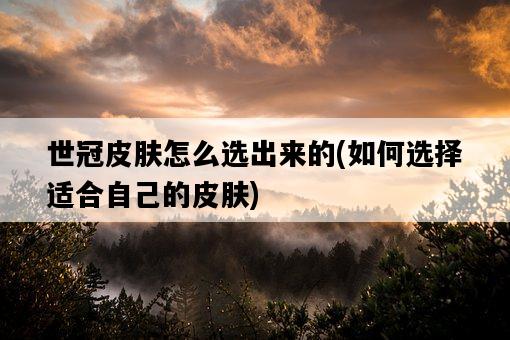 世冠皮膚怎么選出來的，如何選擇適合自己的皮膚-圖1