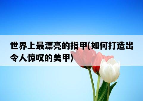 世界上最漂亮的指甲，如何打造出令人驚嘆的美甲-圖1