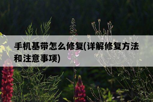 手機基帶怎么修復，詳解修復方法和注意事項-圖1