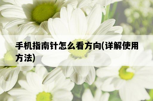 手機指南針怎么看方向，詳解使用方法-圖1