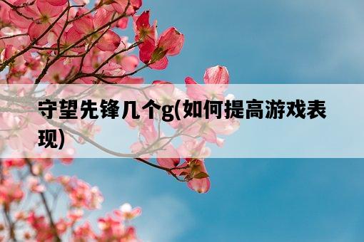 守望先鋒幾個g，如何提高游戲表現-圖1