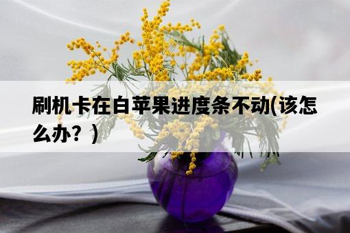 刷機卡在白蘋果進度條不動，該怎么辦？-圖1
