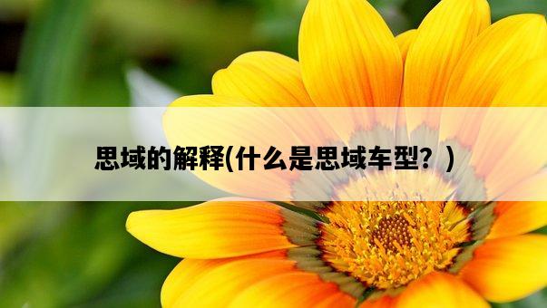 思域的解釋，什么是思域車型？-圖1