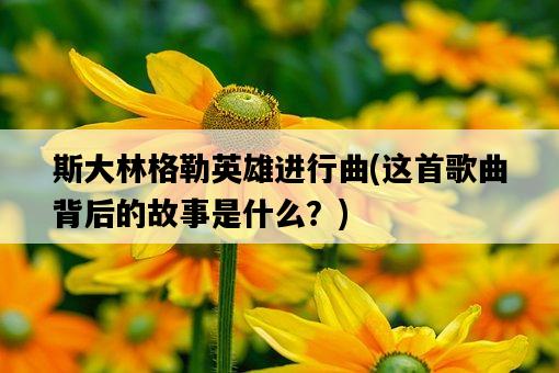 斯大林格勒英雄進行曲，這首歌曲背后的故事是什么？-圖1