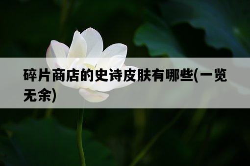 碎片商店的史詩皮膚有哪些，一覽無余-圖1