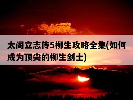 太閣立志傳5柳生攻略全集，如何成為頂尖的柳生劍士-圖1