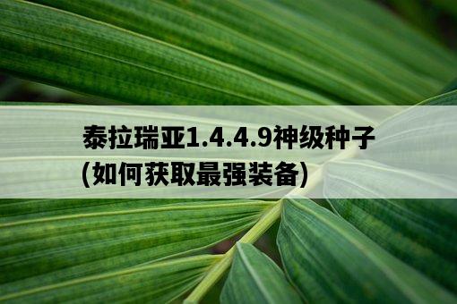 泰拉瑞亞1.4.4.9神級種子，如何獲取最強裝備-圖1