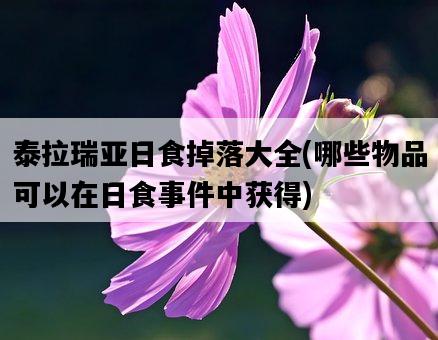泰拉瑞亞日食掉落大全，哪些物品可以在日食**中獲得-圖1