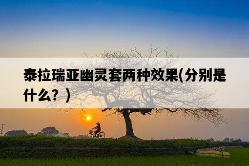 泰拉瑞亞幽靈套兩種效果，分別是什么？-圖1