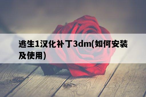 逃生1漢化補丁3dm，如何安裝及使用-圖1