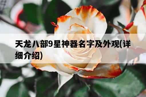 天龍八部9星神器名字及外觀，詳細介紹-圖1