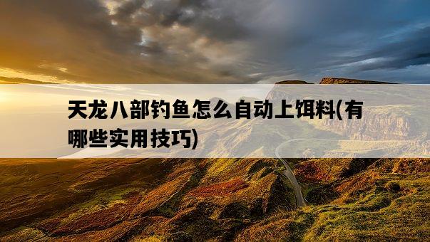 天龍八部釣魚怎么自動上餌料，有哪些實用技巧-圖1