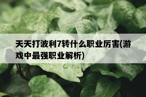 天天打波利7轉什么職業厲害，游戲中最強職業解析-圖1
