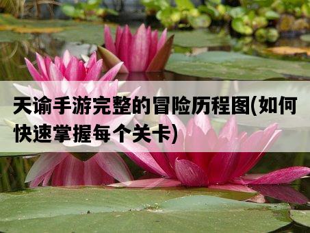 天諭手游完整的冒險歷程圖，如何快速掌握每個關卡-圖1