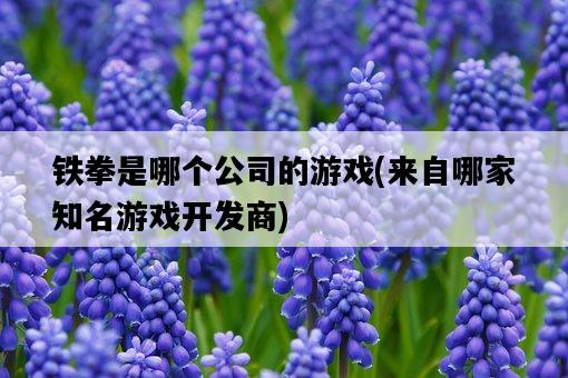 鐵拳是哪個公司的游戲，來自哪家知名游戲開發商-圖1