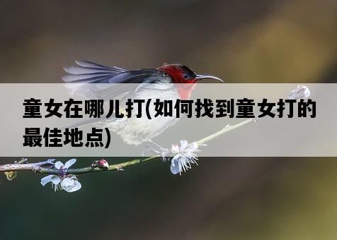 童女在哪兒打,如何找到童女打的最佳地點-圖1 童女在哪兒打,如何找到童女打的最佳地點-圖1