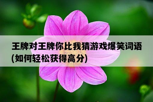 王牌對王牌你比我猜游戲爆笑詞語，如何輕松獲得高分-圖1