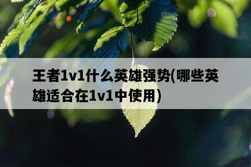 王者1v1什么英雄強勢，哪些英雄適合在1v1中使用-圖1