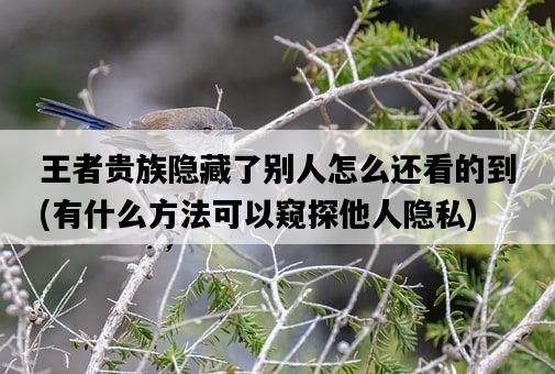 王者貴族隱藏了別人怎么還看的到，有什么方法可以窺探他人隱私-圖1
