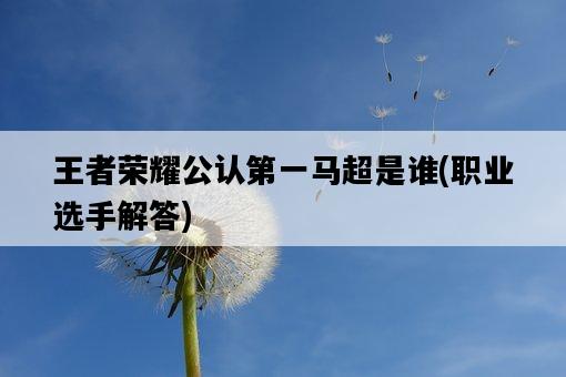 王者榮耀公認第一馬超是誰，職業選手解答-圖1