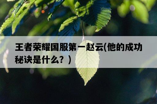 王者榮耀國服第一趙云,他的成功秘訣是什么?-圖1 王者榮耀國服第一趙云,他的成功秘訣是什么?-圖1