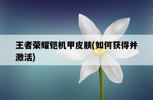 王者榮耀鎧機甲皮膚，如何獲得并激活-圖1