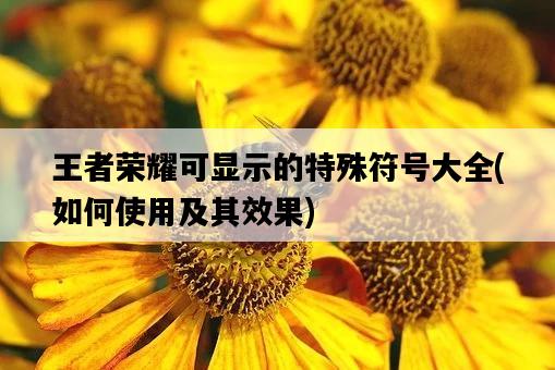 王者榮耀可顯示的特殊符號大全，如何使用及其效果-圖1
