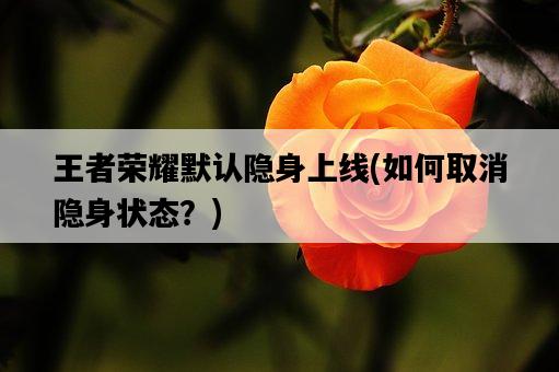 王者榮耀默認隱身上線，如何取消隱身狀態？-圖1