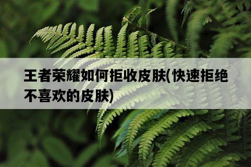 王者榮耀如何拒收皮膚，快速拒絕不喜歡的皮膚-圖1