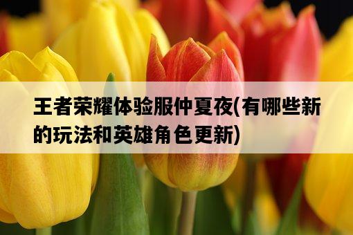 王者榮耀體驗服仲夏夜，有哪些新的玩法和英雄角色更新-圖1